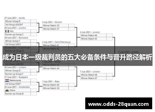 成为日本一级裁判员的五大必备条件与晋升路径解析
