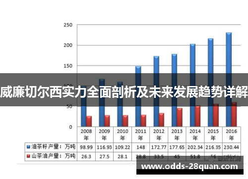 威廉切尔西实力全面剖析及未来发展趋势详解